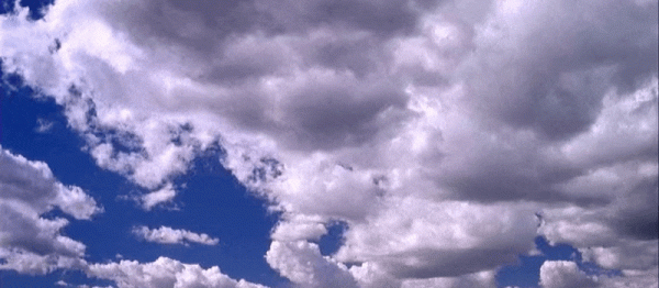 三羊财务 美军拉上日本自卫队备战亚太两大战场：打日本，我国士气直接100%