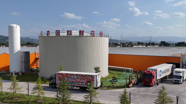 众诚速配 中国西部产鲜花持续走向中亚国家